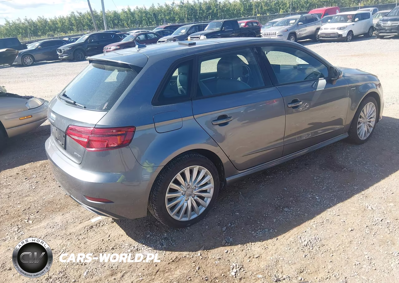 2017 Audi A3 E-Tron 1.4T Premium VIN:WAUUPBFF9HA055697 - 4