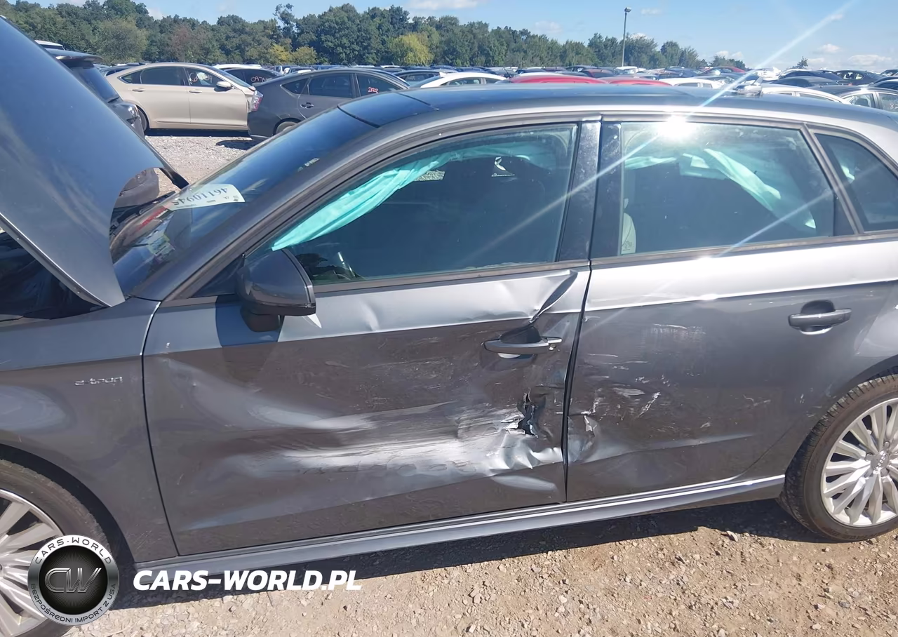 2017 Audi A3 E-Tron 1.4T Premium VIN:WAUUPBFF9HA055697 - 6