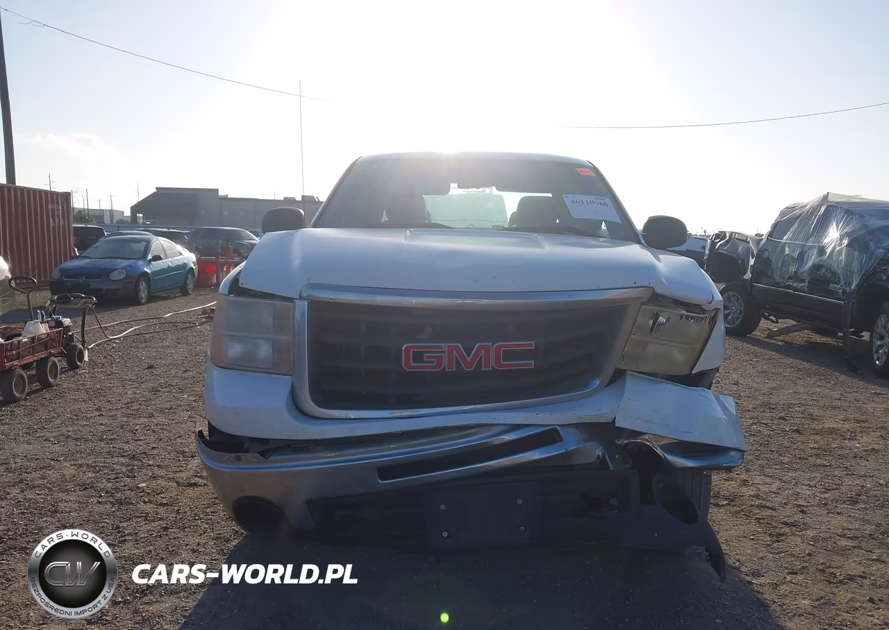 2010 GMC Sierra 2500Hd Work Truck VIN:1GT5CZBG1AZ230705 - 12