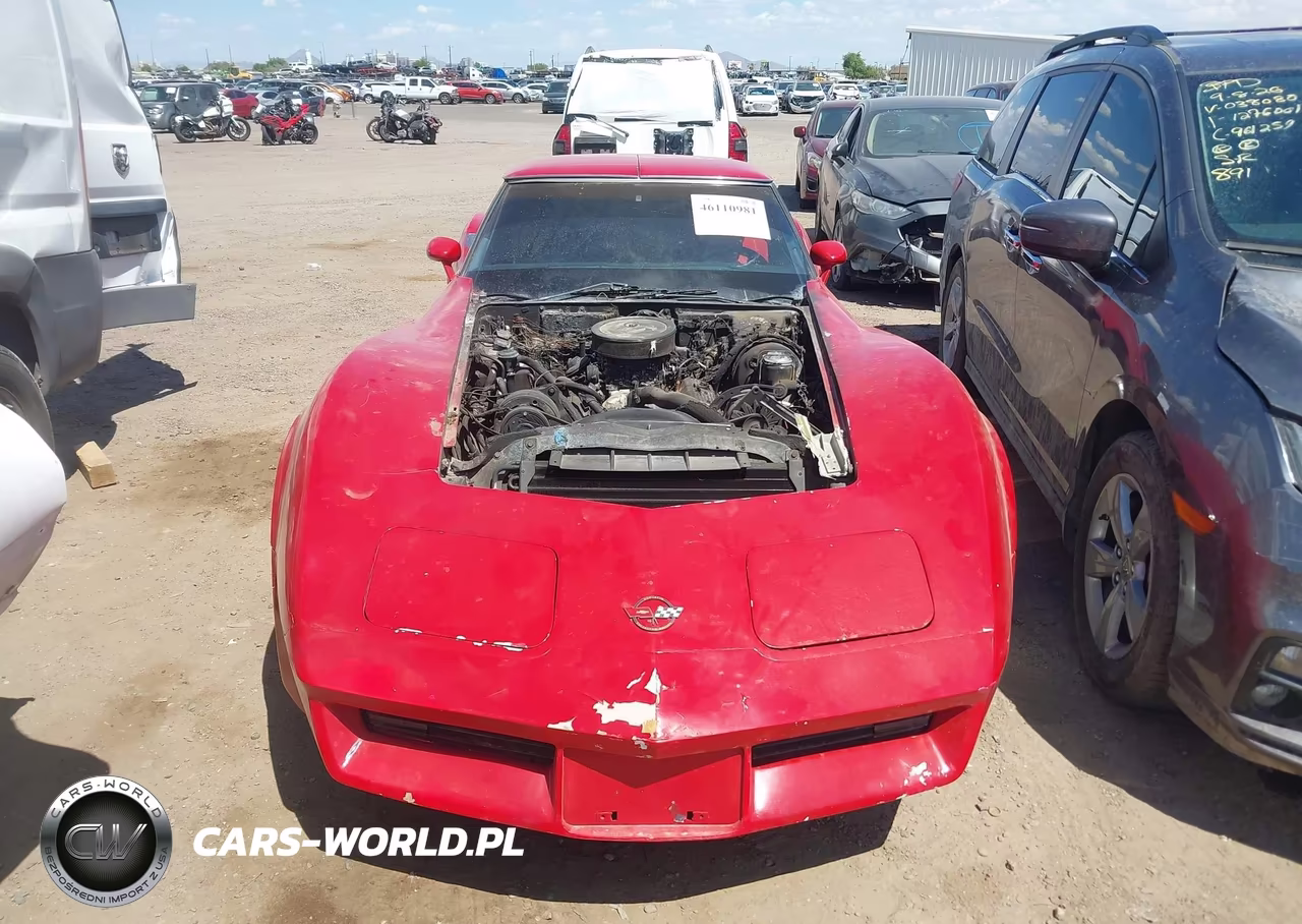 1982 Chevrolet Corvette VIN:1G1AY8786C5100370 - 13