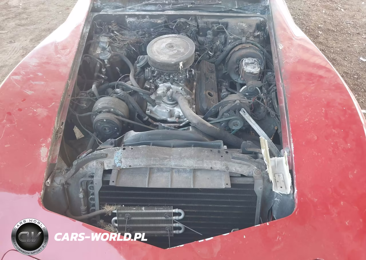 1982 Chevrolet Corvette VIN:1G1AY8786C5100370 - 8