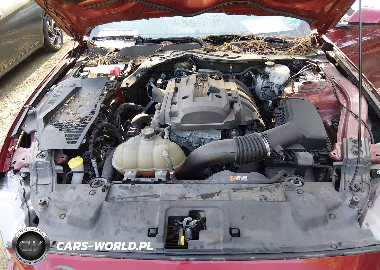 2018 Ford Mustang Ecoboost VIN:1FA6P8THXJ5121781 - 10