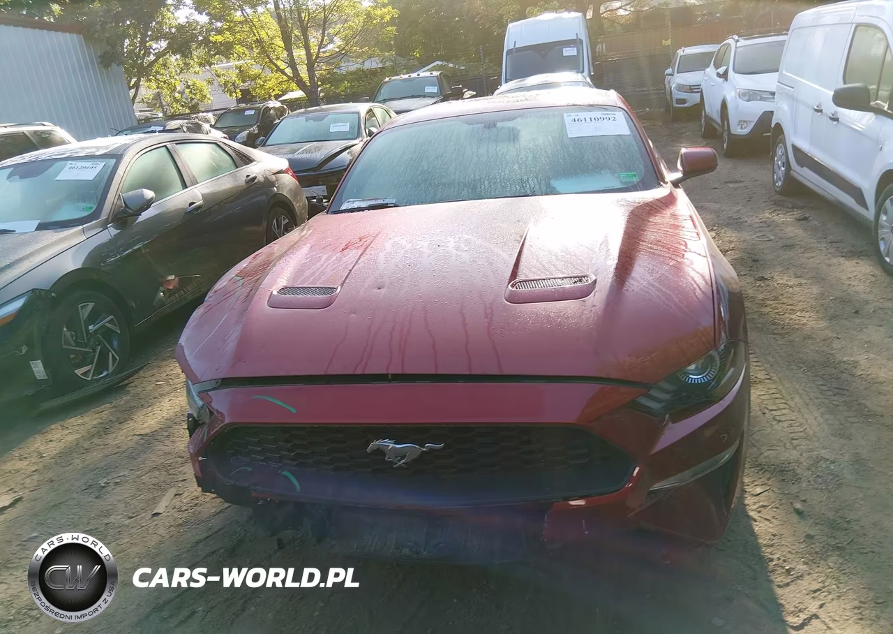 2018 Ford Mustang Ecoboost VIN:1FA6P8THXJ5121781 - 13