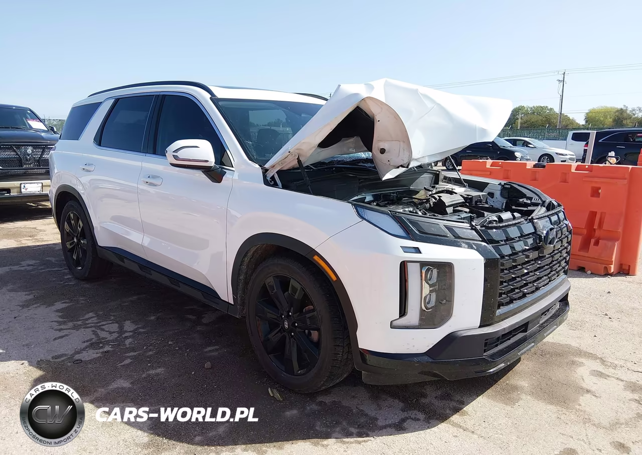 2024 Hyundai Palisade Xrt