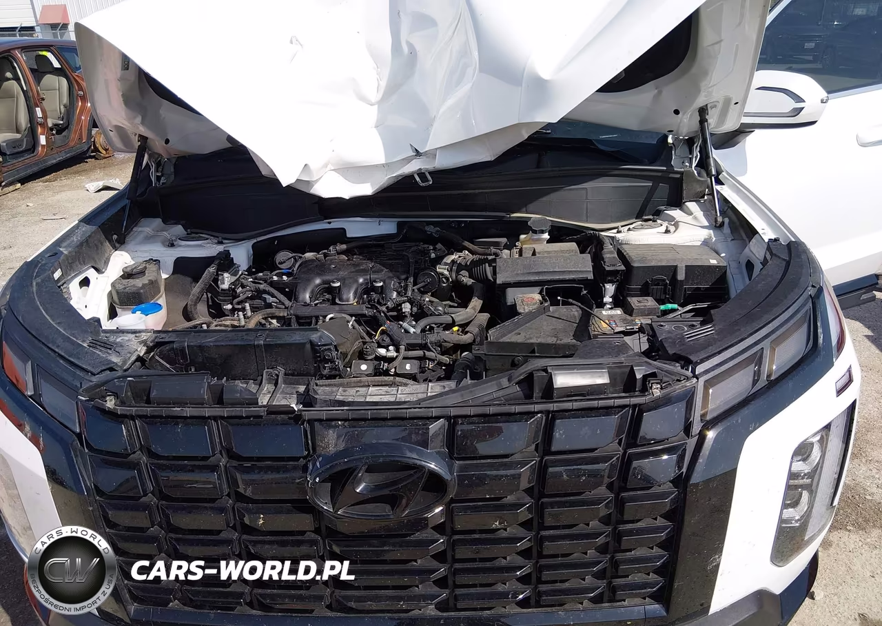 2024 Hyundai Palisade Xrt VIN:KM8R3DGEXRU714582 - 10