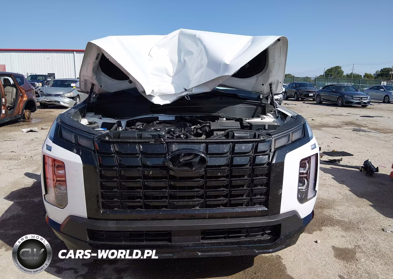 2024 Hyundai Palisade Xrt VIN:KM8R3DGEXRU714582 - 12