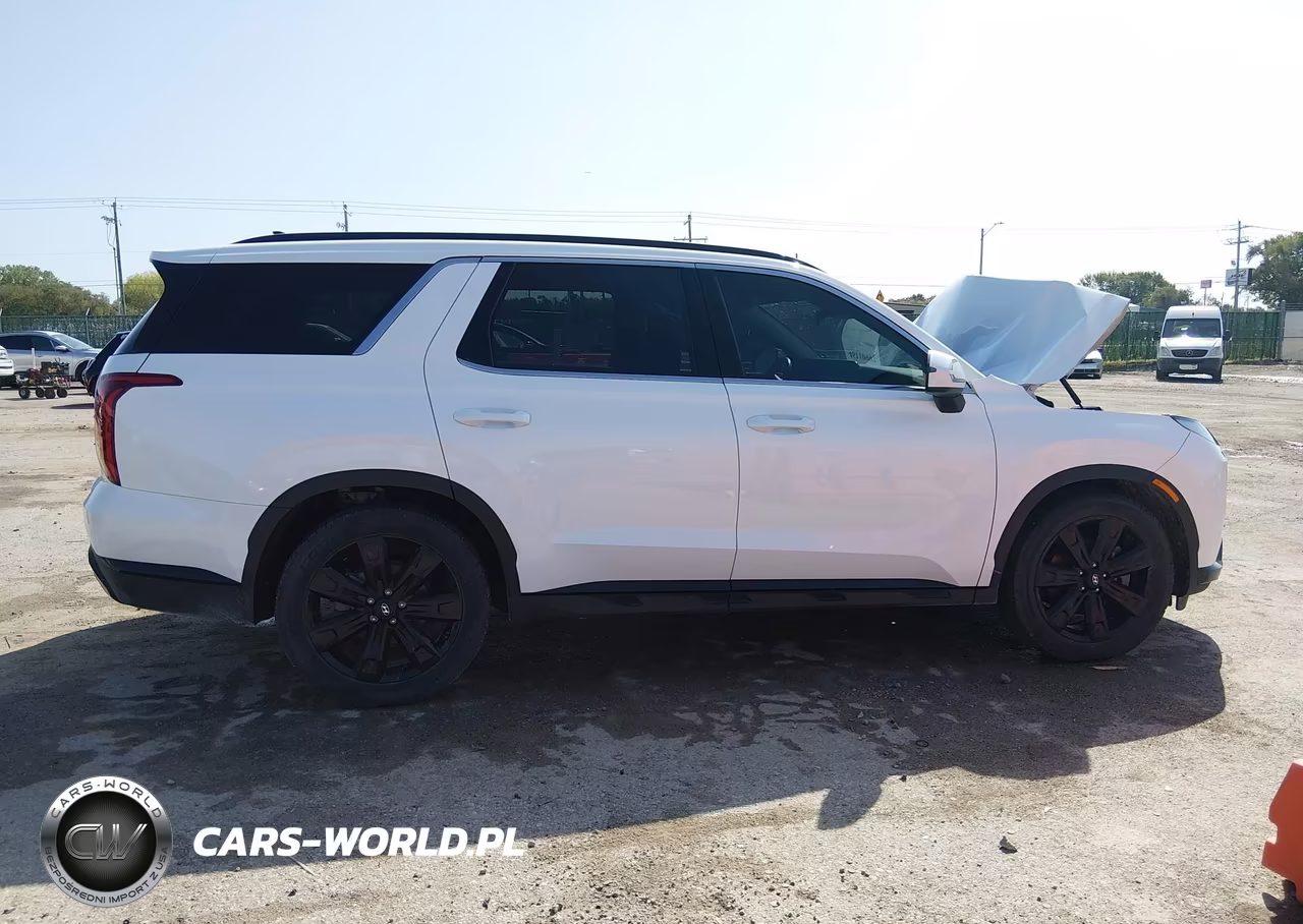 2024 Hyundai Palisade Xrt VIN:KM8R3DGEXRU714582 - 13
