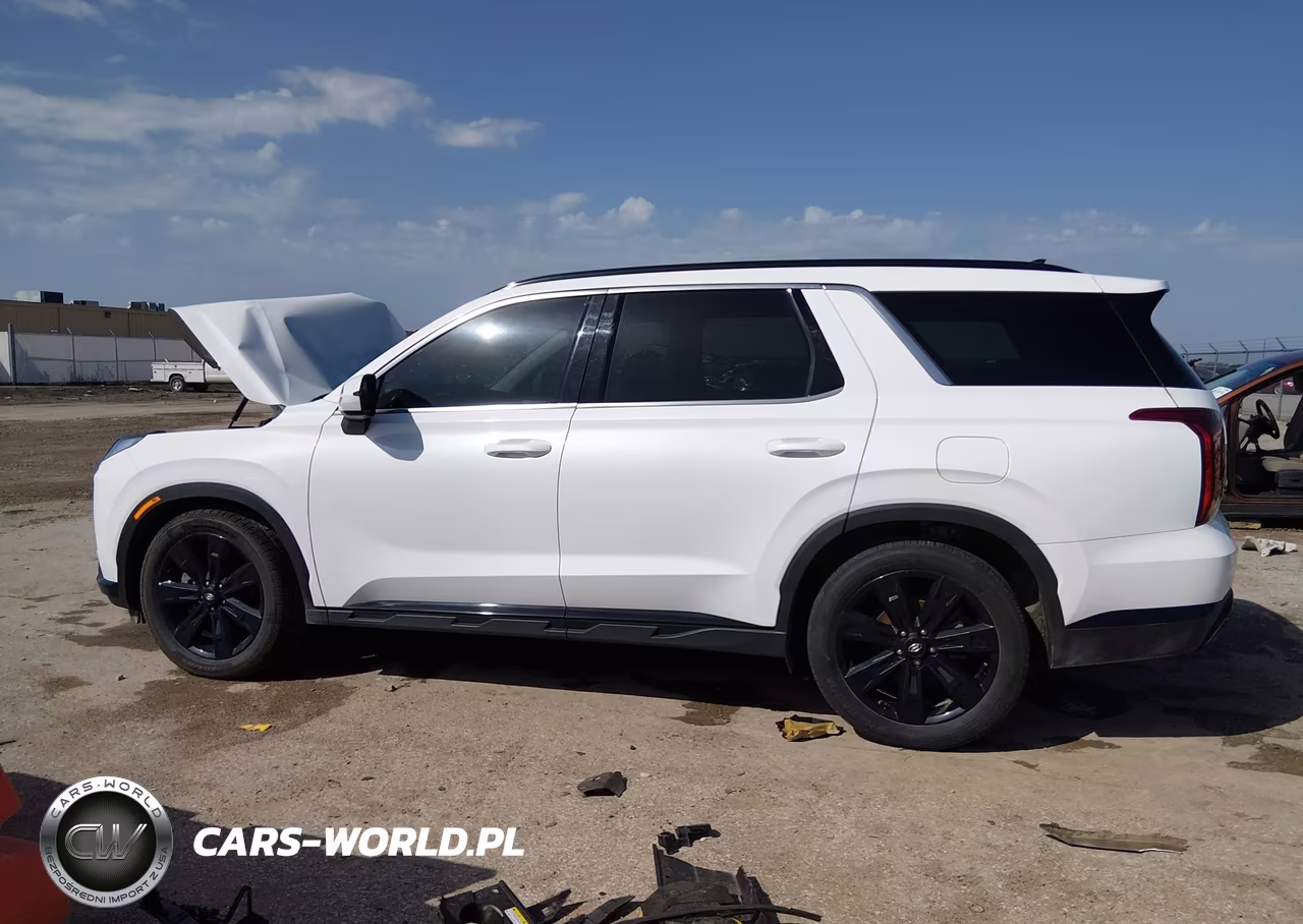 2024 Hyundai Palisade Xrt VIN:KM8R3DGEXRU714582 - 14