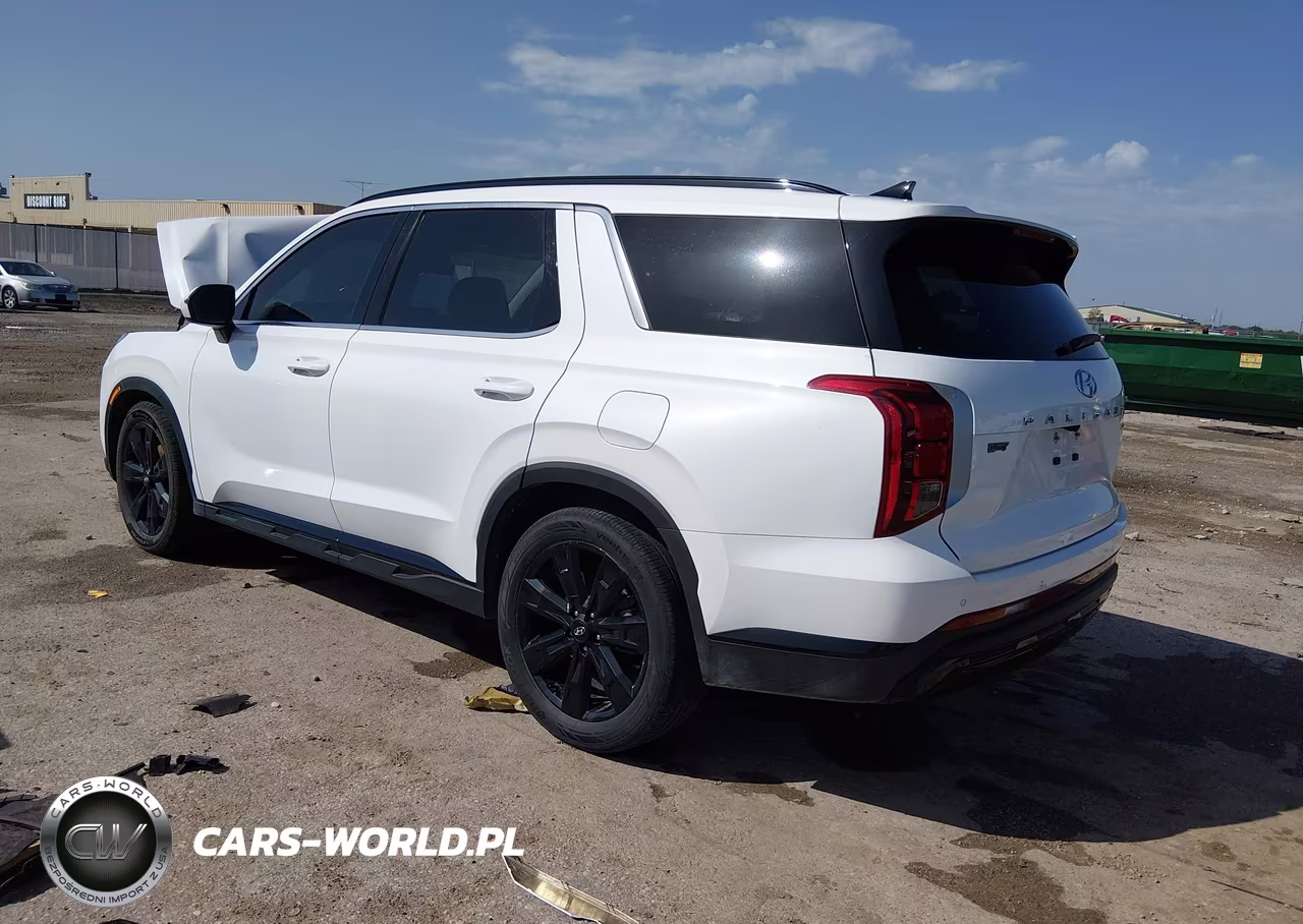 2024 Hyundai Palisade Xrt VIN:KM8R3DGEXRU714582 - 3