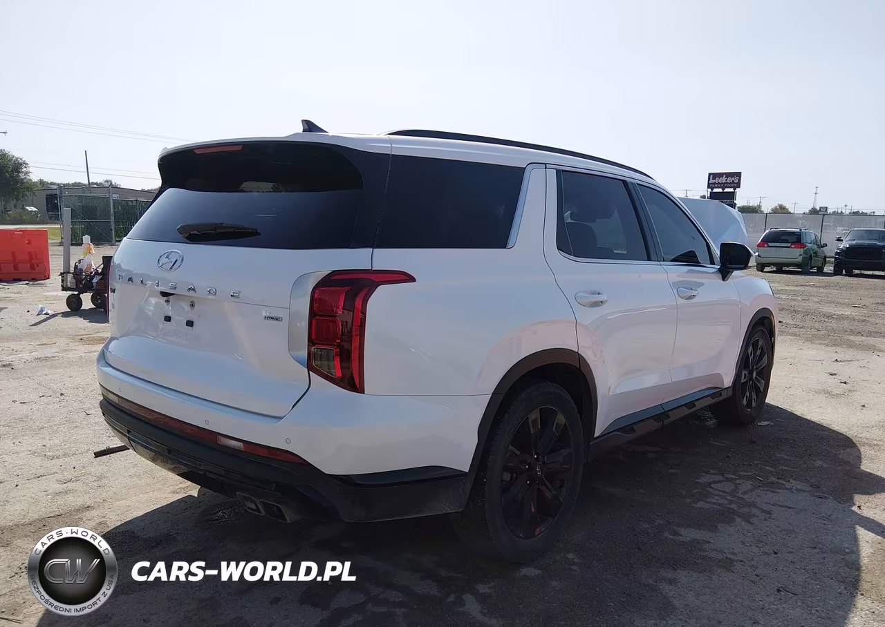 2024 Hyundai Palisade Xrt VIN:KM8R3DGEXRU714582 - 4