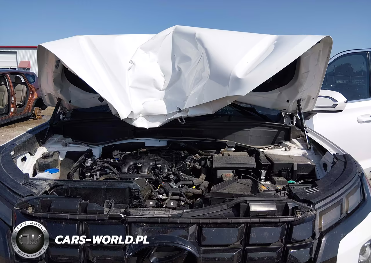 2024 Hyundai Palisade Xrt VIN:KM8R3DGEXRU714582 - 6