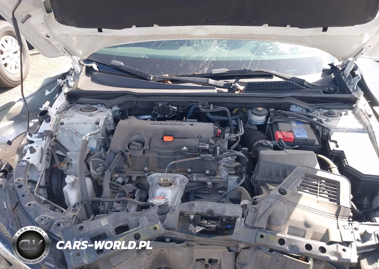 2024 Honda Civic Sport VIN:2HGFE2F59RH530567 - 10