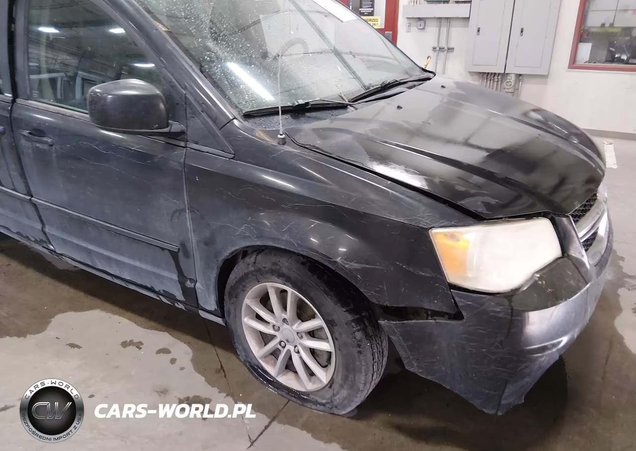 2014 Dodge Grand Caravan Sxt VIN:2C4RDGCGXER273814 - 19