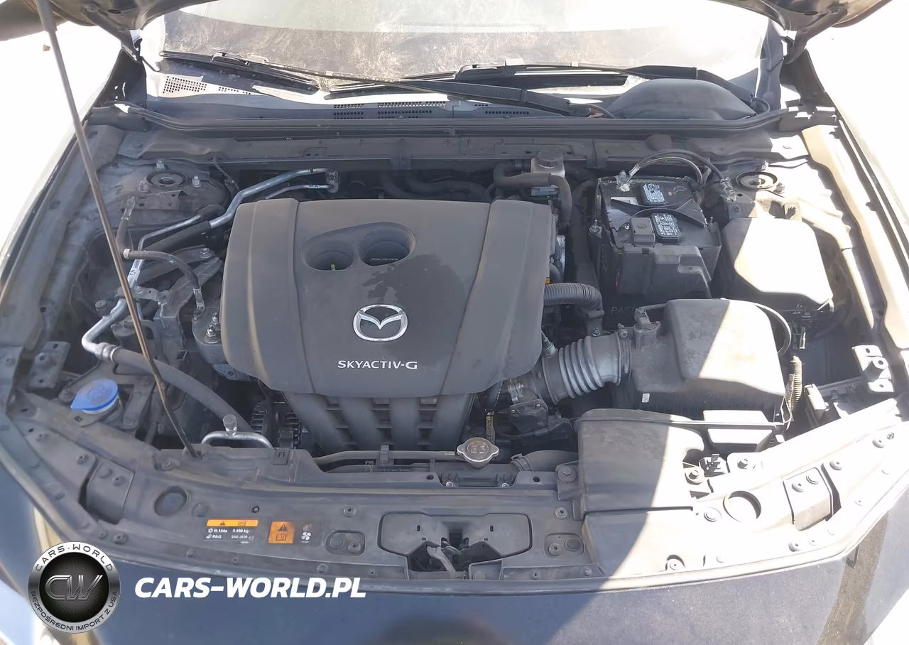2021 Mazda Mazda3 2.0 VIN:JM1BPAA76M1345149 - 10