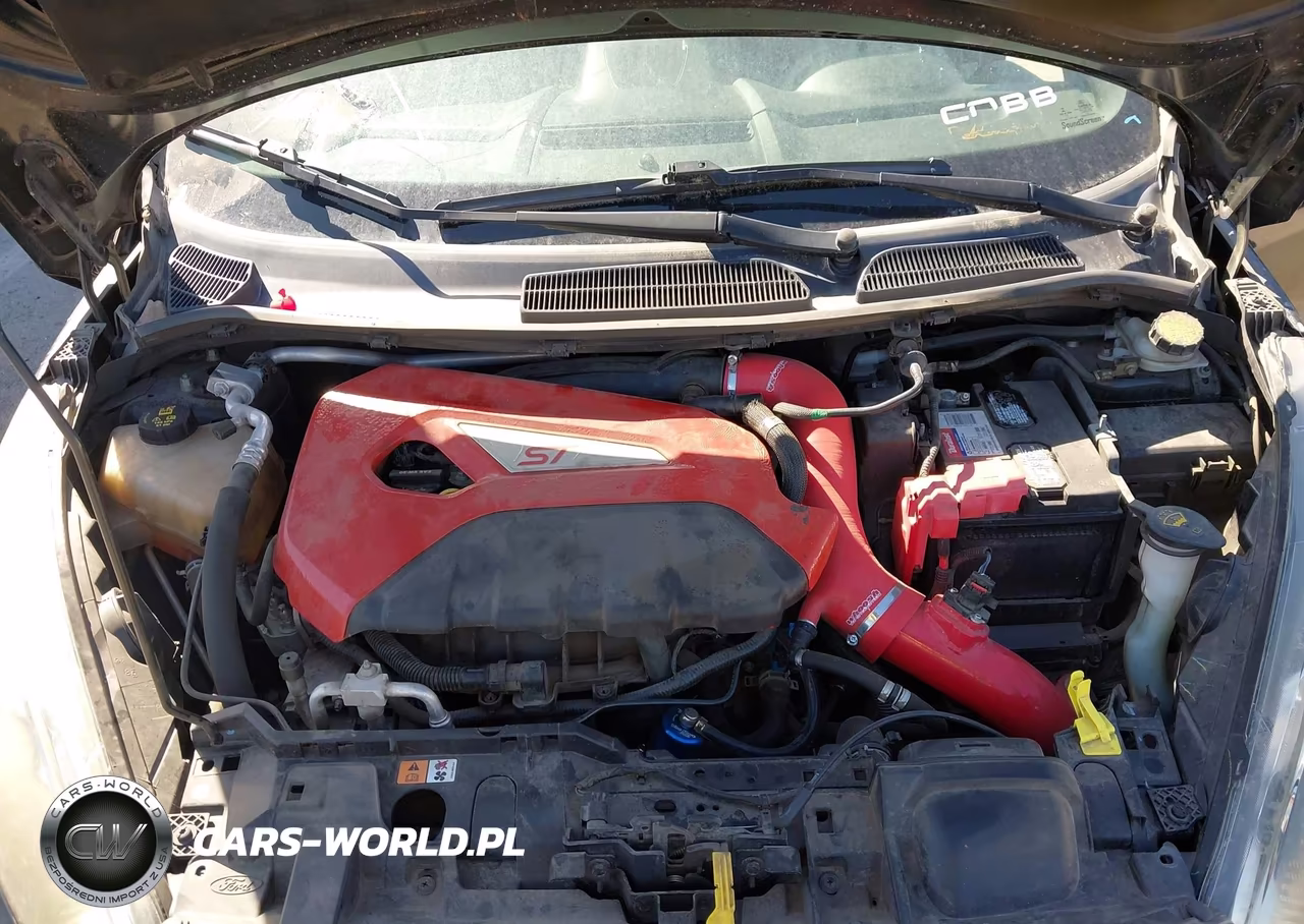 2019 Ford Fiesta St VIN:3FADP4GX0KM166239 - 10