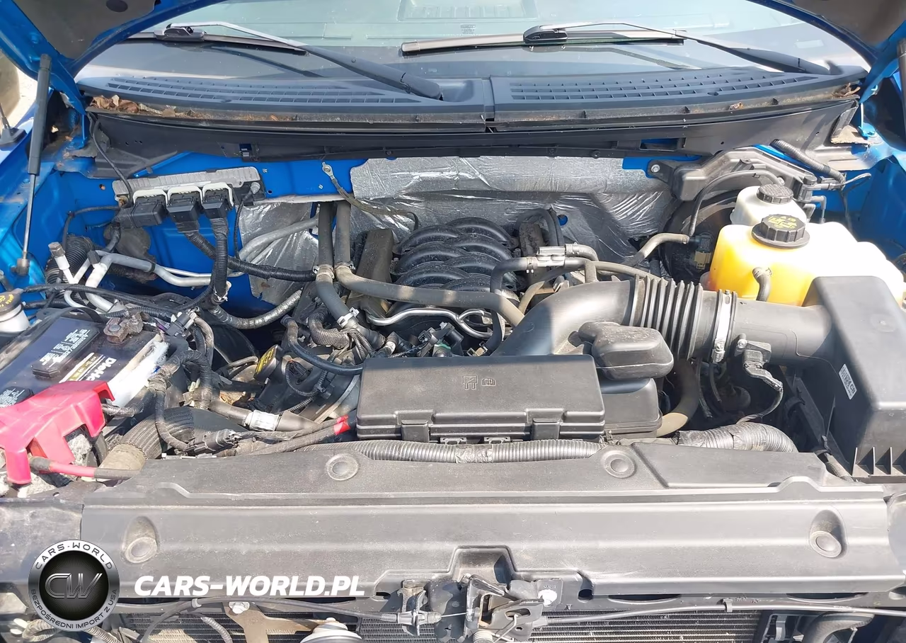 2013 Ford F-150 Stx VIN:1FTFX1EFXDFD39330 - 10