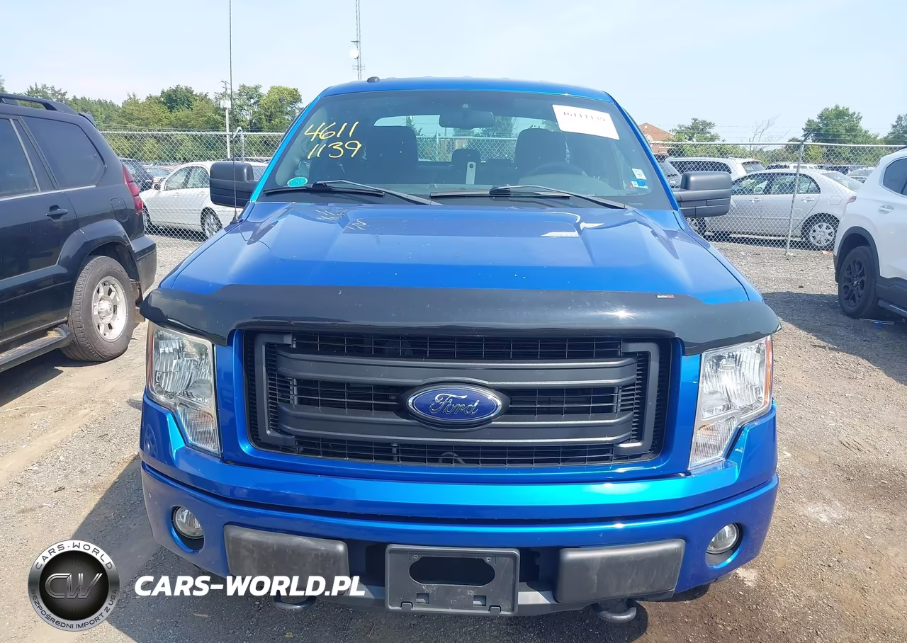2013 Ford F-150 Stx VIN:1FTFX1EFXDFD39330 - 13