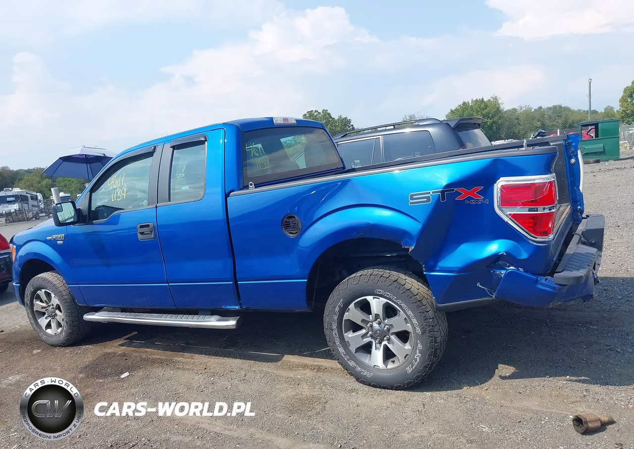 2013 Ford F-150 Stx VIN:1FTFX1EFXDFD39330 - 15