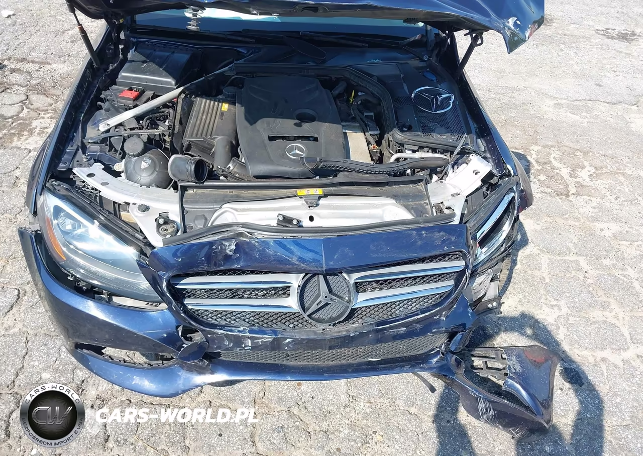 2017 Mercedes-Benz C 300 4Matic-Luxury 4Matic VIN:55SWF4KB8HU185098 - 10