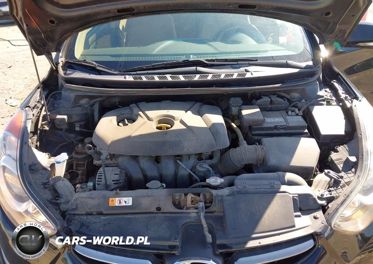 2013 Hyundai Elantra Limited VIN:5NPDH4AE5DH386614 - 10