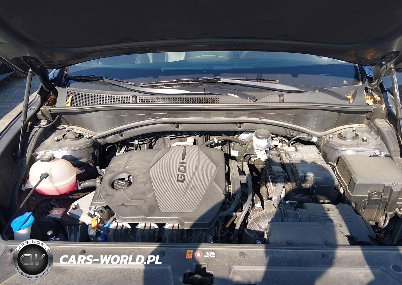 2023 Hyundai Santa Fe Xrt VIN:5NMS6DAJ1PH501687 - 10