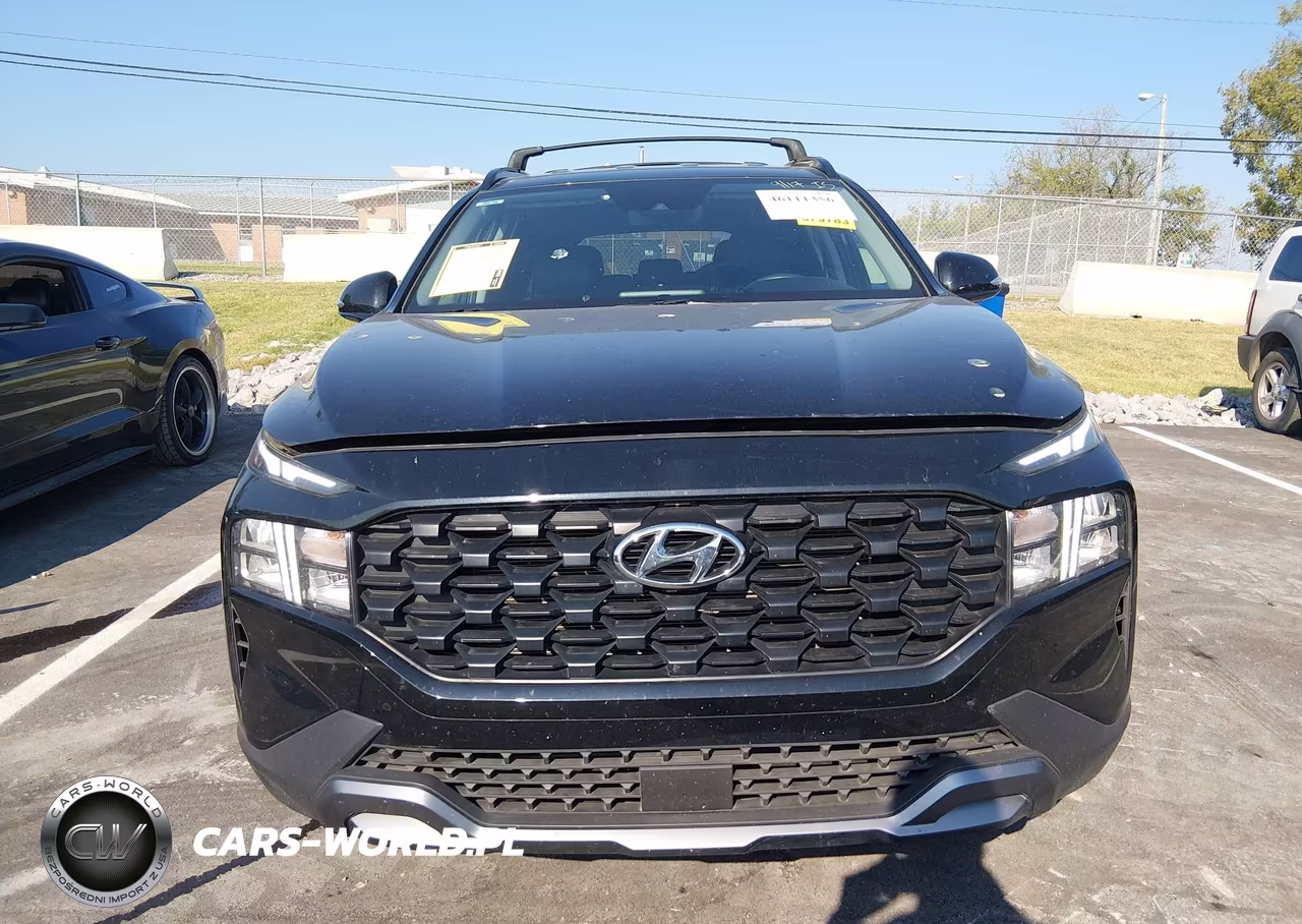 2023 Hyundai Santa Fe Xrt VIN:5NMS6DAJ1PH501687 - 12