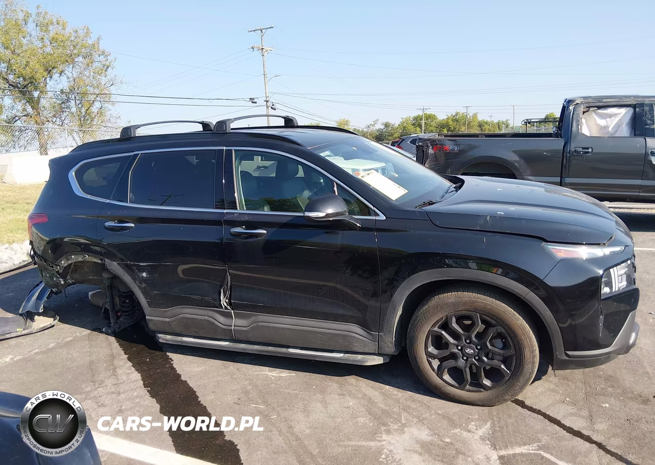 2023 Hyundai Santa Fe Xrt VIN:5NMS6DAJ1PH501687 - 13