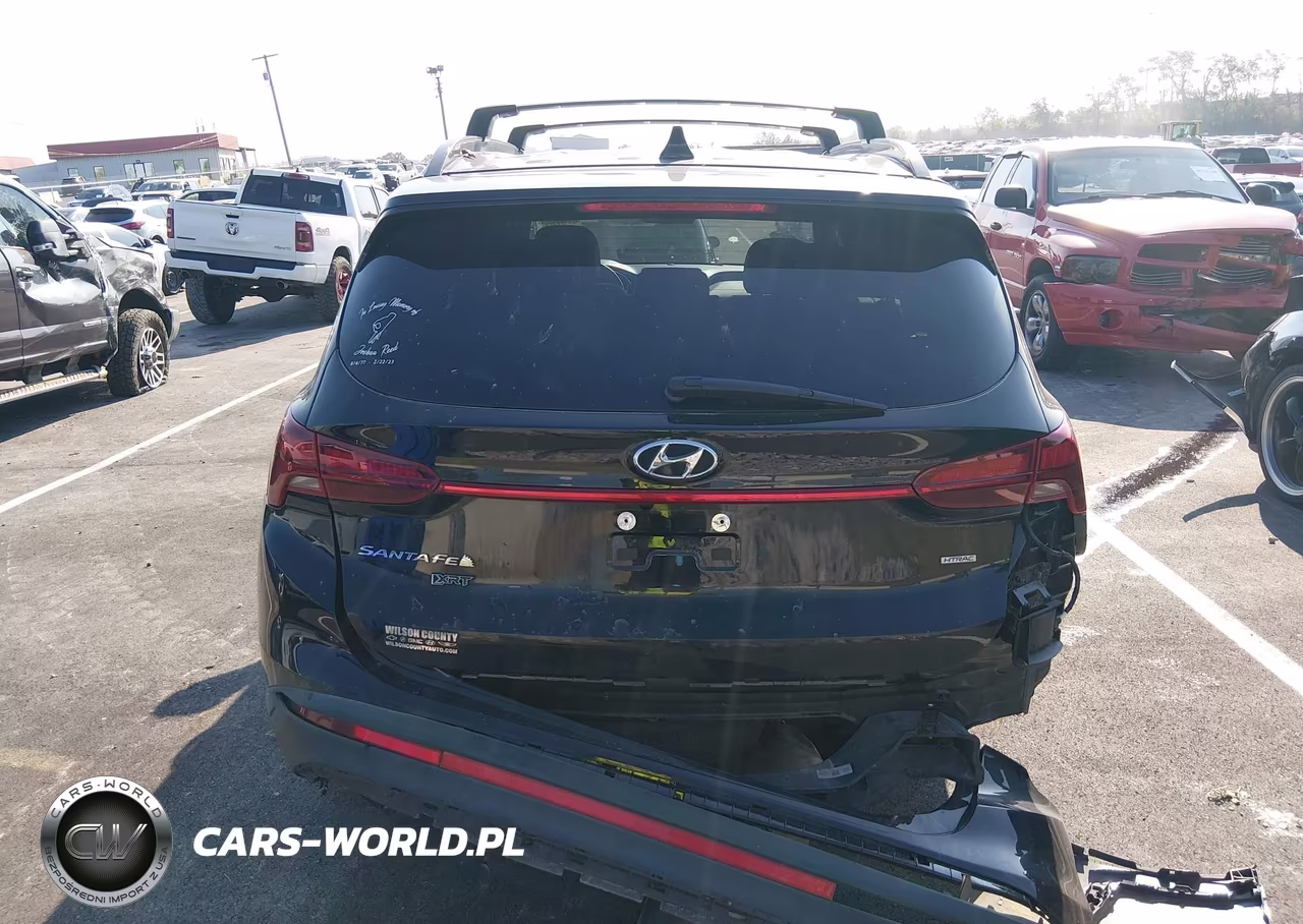 2023 Hyundai Santa Fe Xrt VIN:5NMS6DAJ1PH501687 - 16