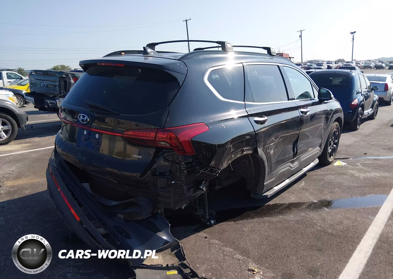 2023 Hyundai Santa Fe Xrt VIN:5NMS6DAJ1PH501687 - 4