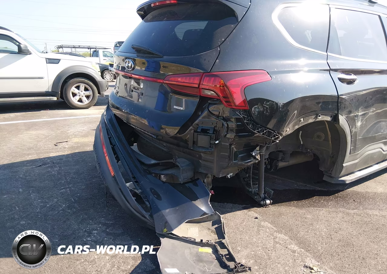 2023 Hyundai Santa Fe Xrt VIN:5NMS6DAJ1PH501687 - 6