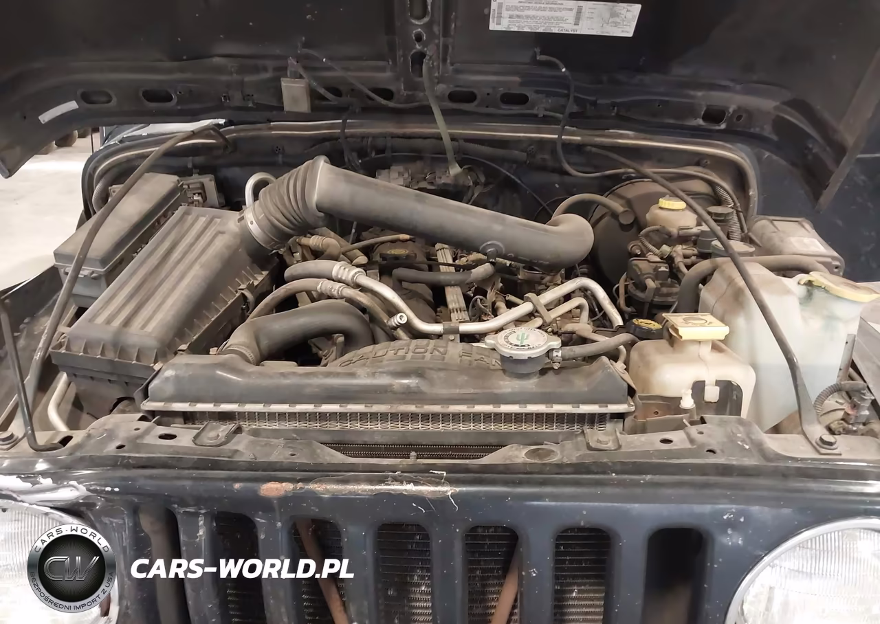 2002 Jeep Wrangler Sport VIN:1J4FA49S92P716287 - 10
