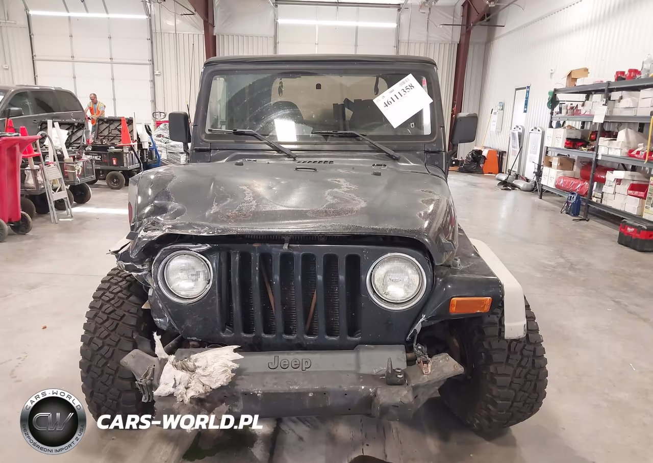 2002 Jeep Wrangler Sport VIN:1J4FA49S92P716287 - 13