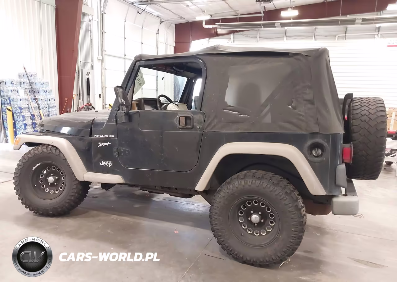 2002 Jeep Wrangler Sport VIN:1J4FA49S92P716287 - 15