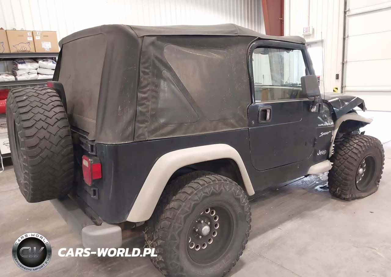 2002 Jeep Wrangler Sport VIN:1J4FA49S92P716287 - 4