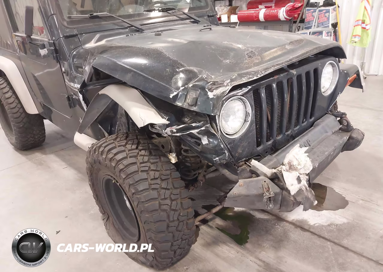 2002 Jeep Wrangler Sport VIN:1J4FA49S92P716287 - 6