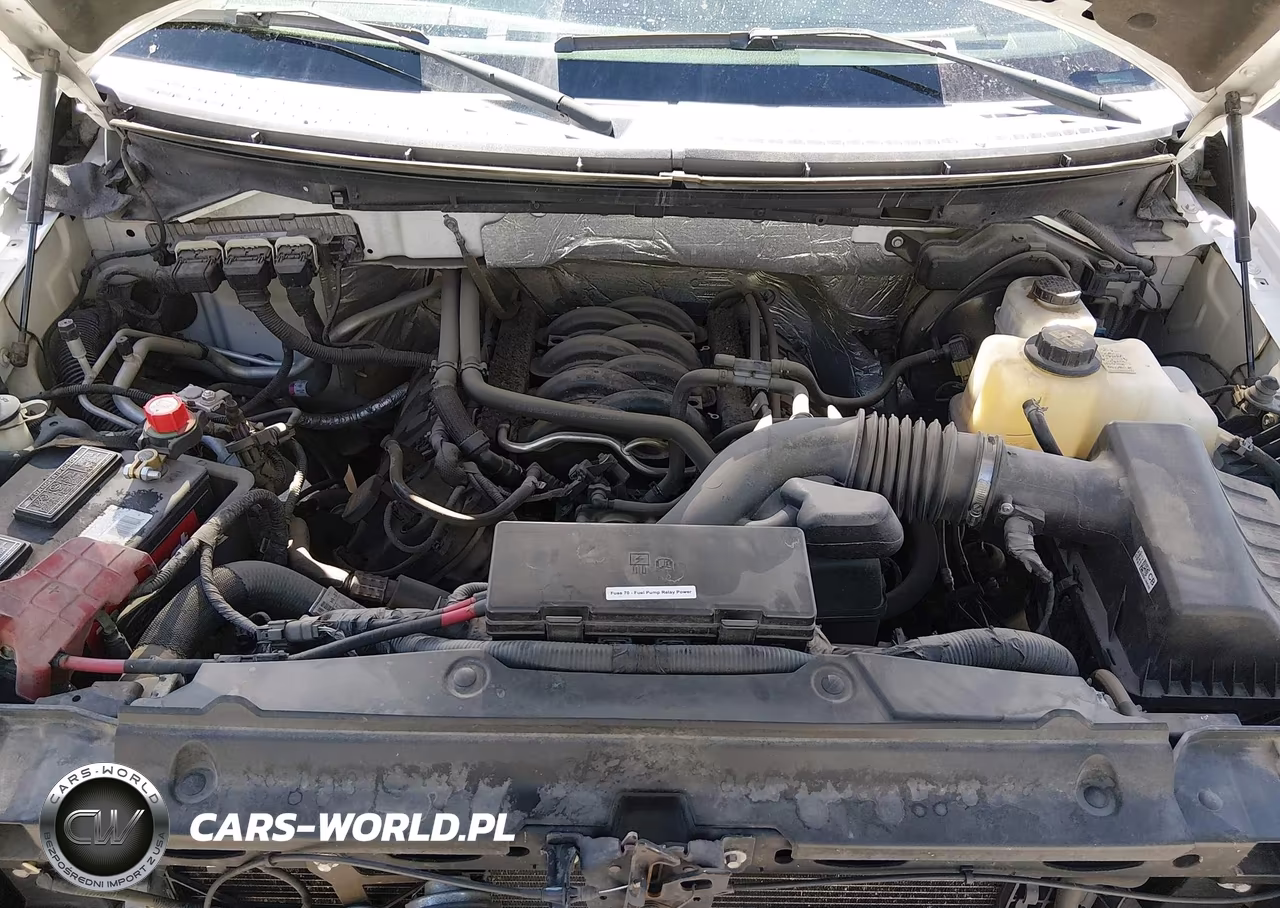 2013 Ford F-150 Xlt VIN:1FTFW1EF6DKF20113 - 10