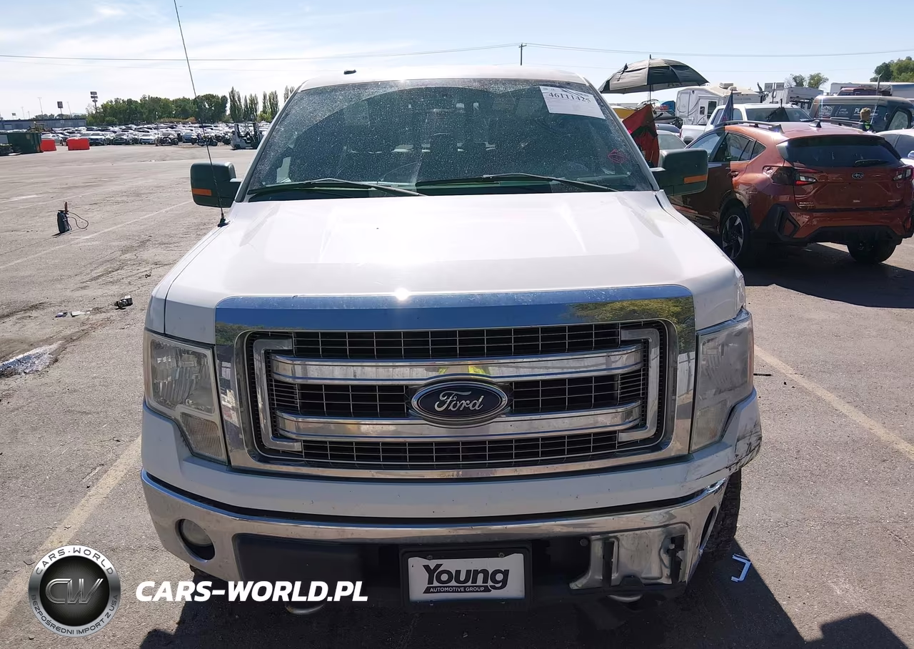 2013 Ford F-150 Xlt VIN:1FTFW1EF6DKF20113 - 12