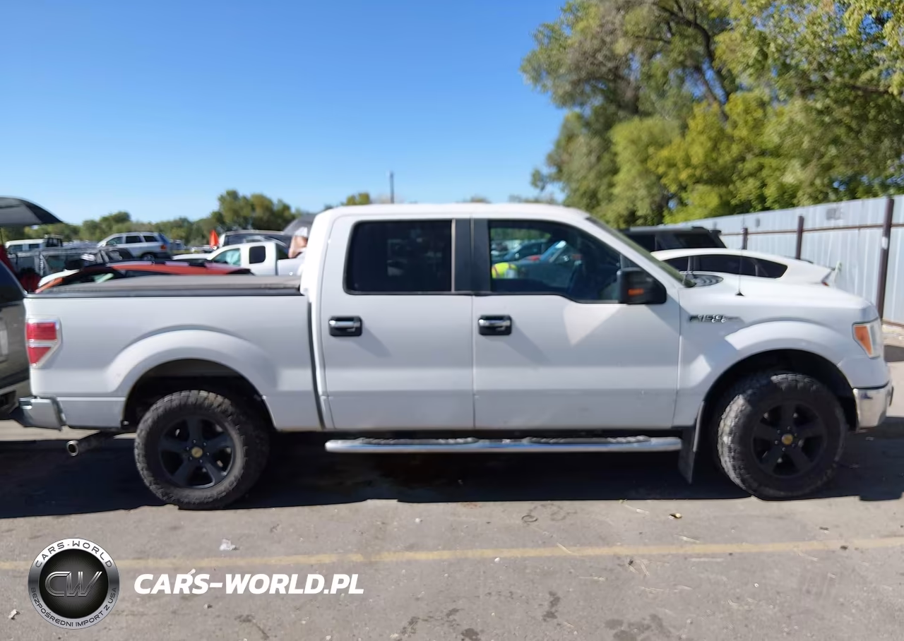 2013 Ford F-150 Xlt VIN:1FTFW1EF6DKF20113 - 13