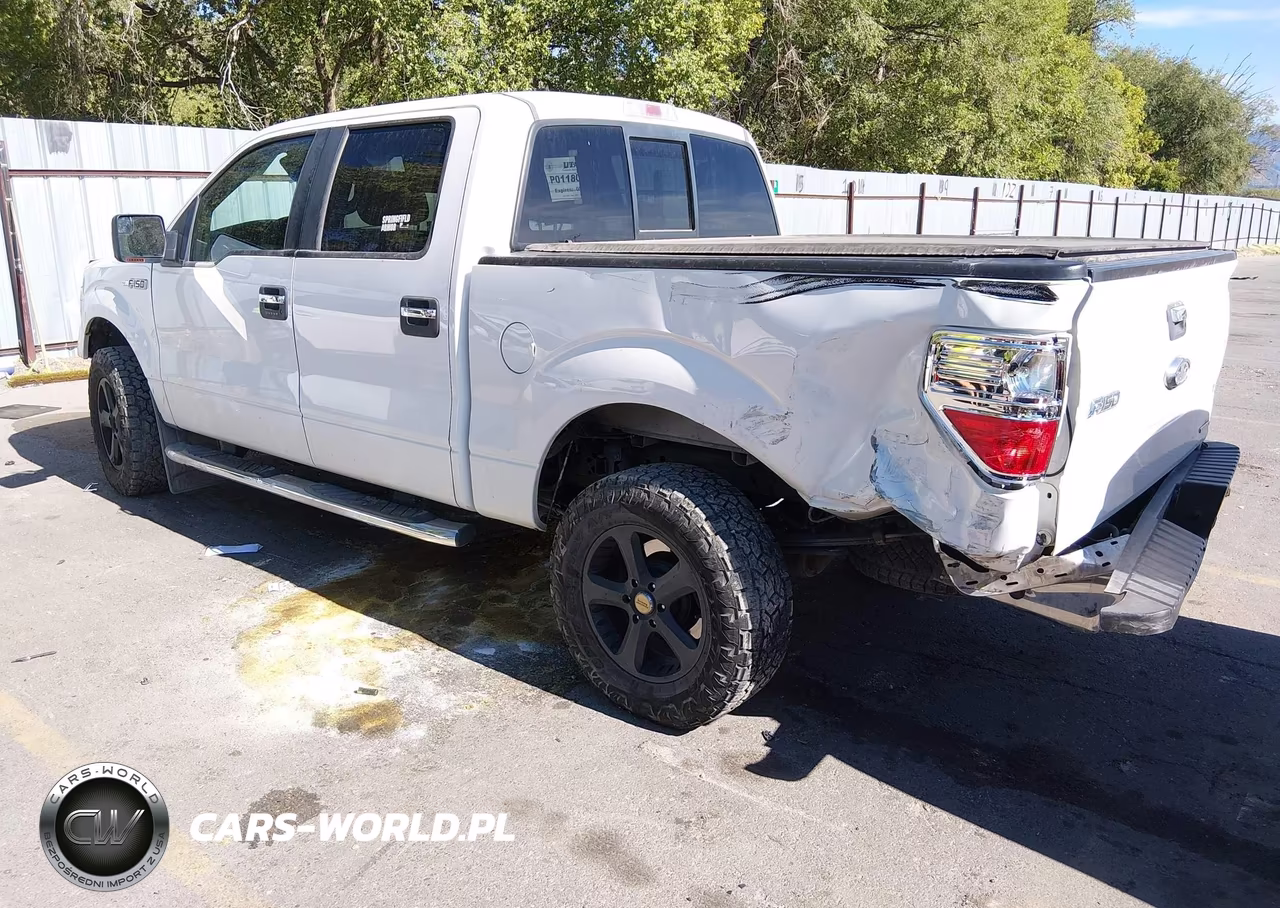 2013 Ford F-150 Xlt VIN:1FTFW1EF6DKF20113 - 3