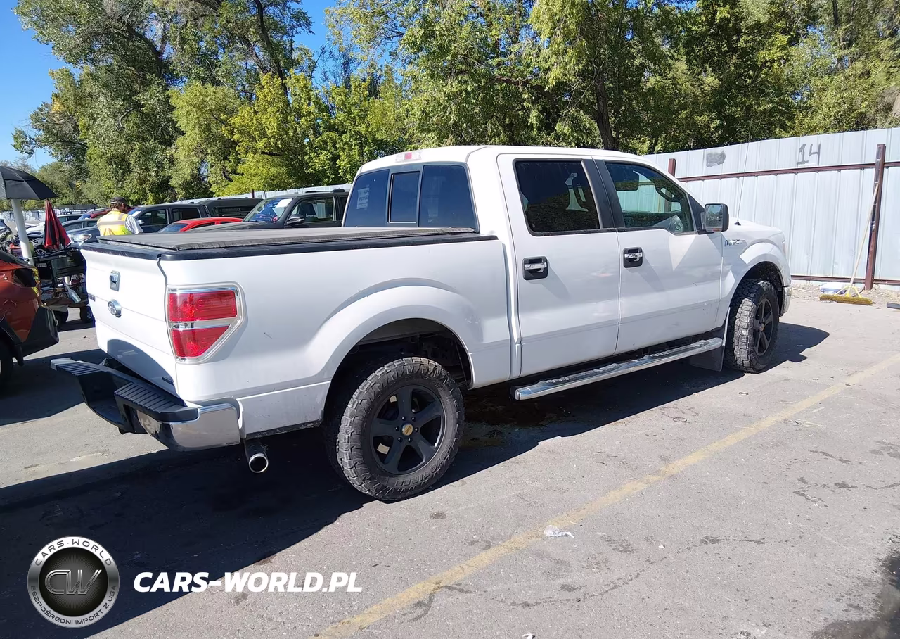 2013 Ford F-150 Xlt VIN:1FTFW1EF6DKF20113 - 4