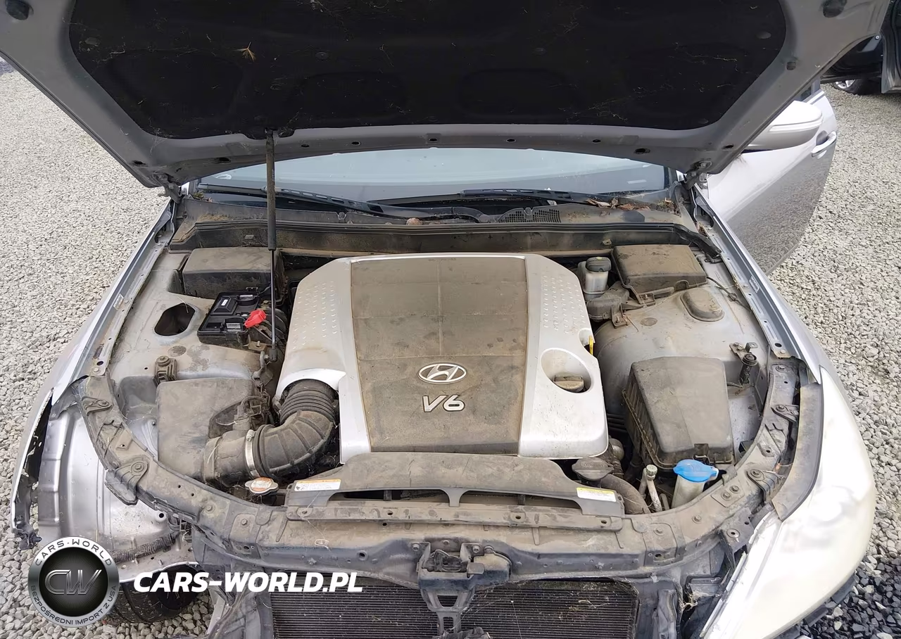 2009 Hyundai Genesis 3.8 VIN:KMHGC46E29U024818 - 10