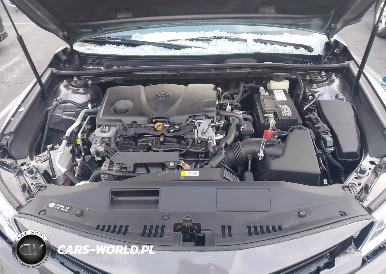 2018 Toyota Camry Le VIN:4T1B11HK9JU065582 - 10