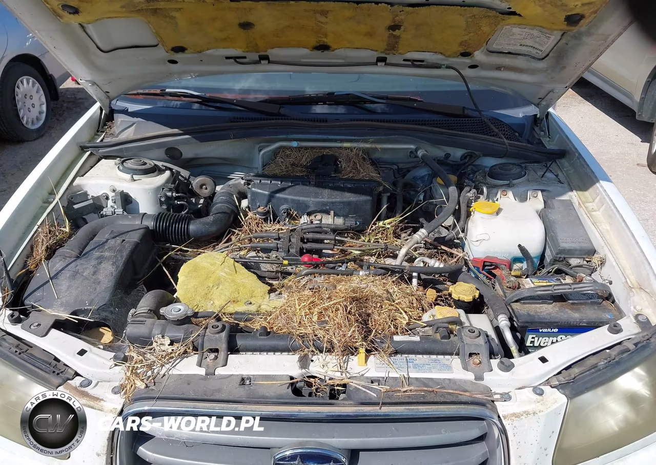 2003 Subaru Forester Xs VIN:JF1SG65693H701314 - 10