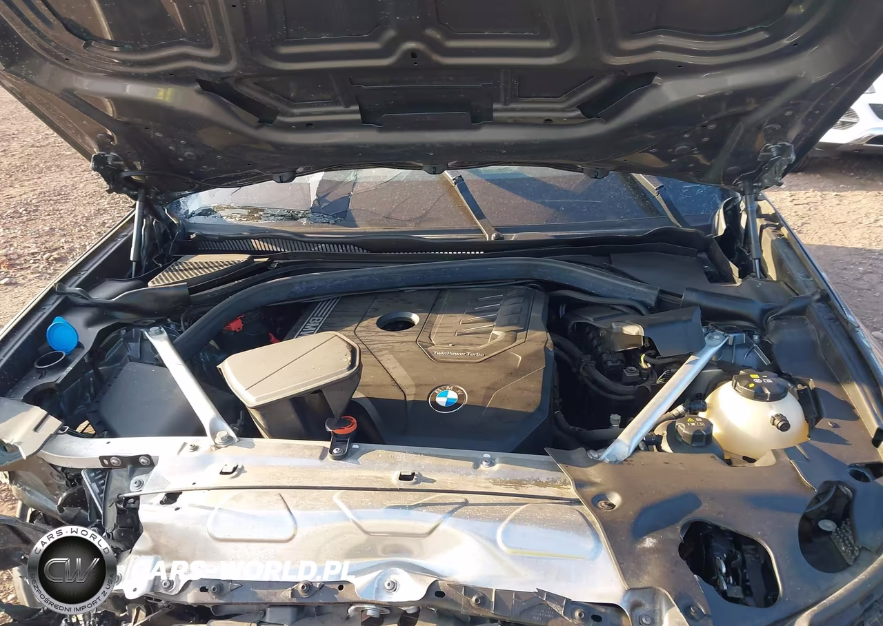 2023 BMW X3 xDrive30I VIN:5UX53DP02P9R38421 - 10