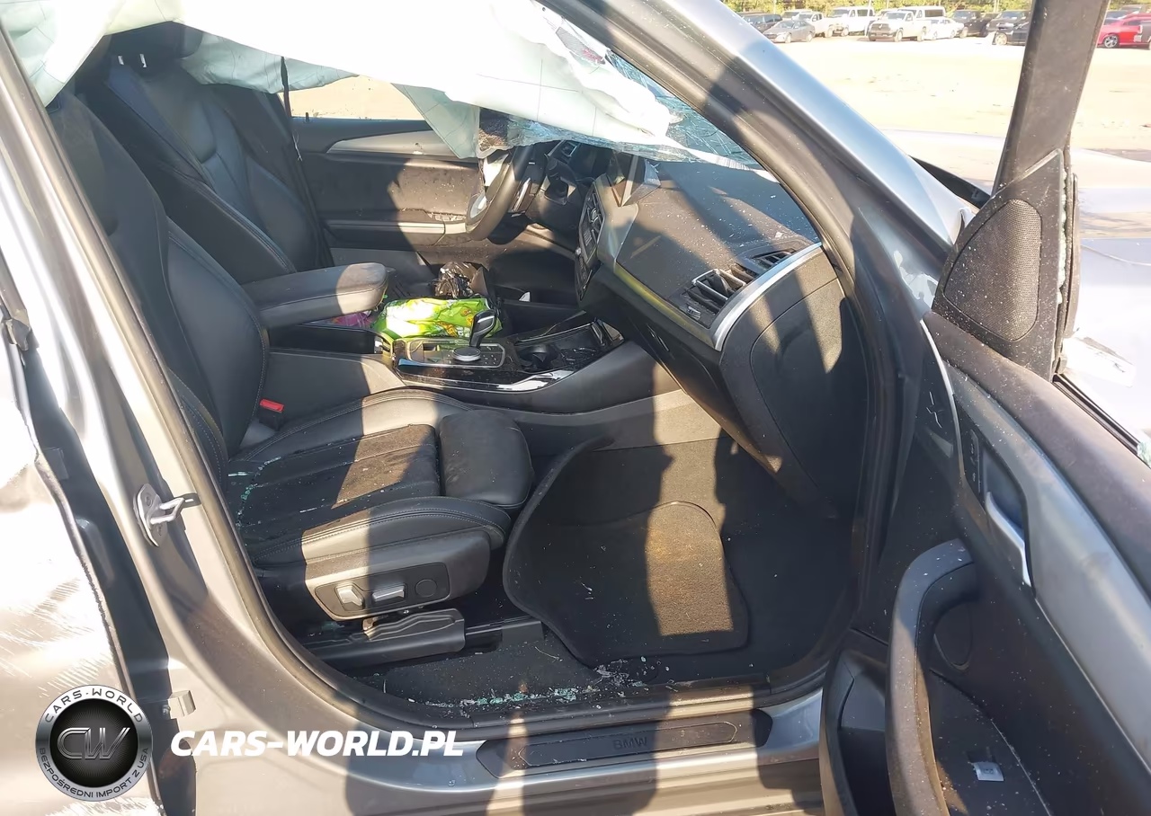 2023 BMW X3 xDrive30I VIN:5UX53DP02P9R38421 - 5