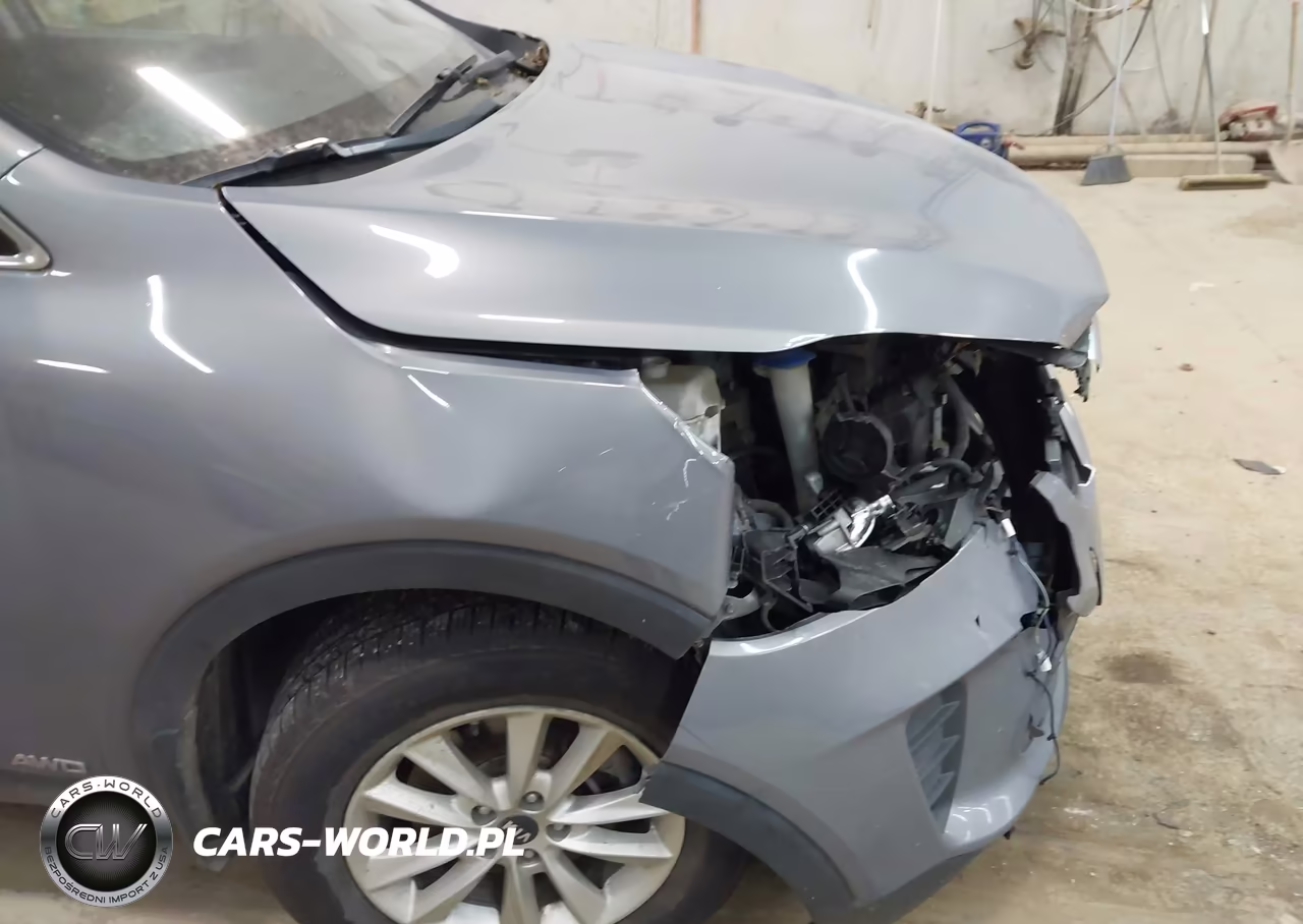 2020 Kia Sorento 2.4L Lx VIN:5XYPGDA36LG655367 - 16