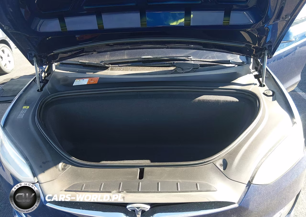 2017 Tesla Model X 100D-75D-90D VIN:5YJXCDE25HF069108 - 10
