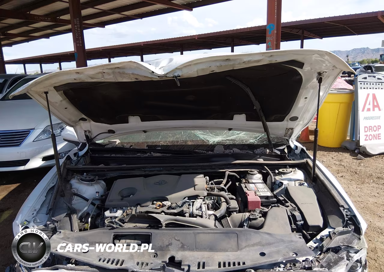 2020 Toyota Camry Se VIN:4T1G11AK1LU900108 - 10