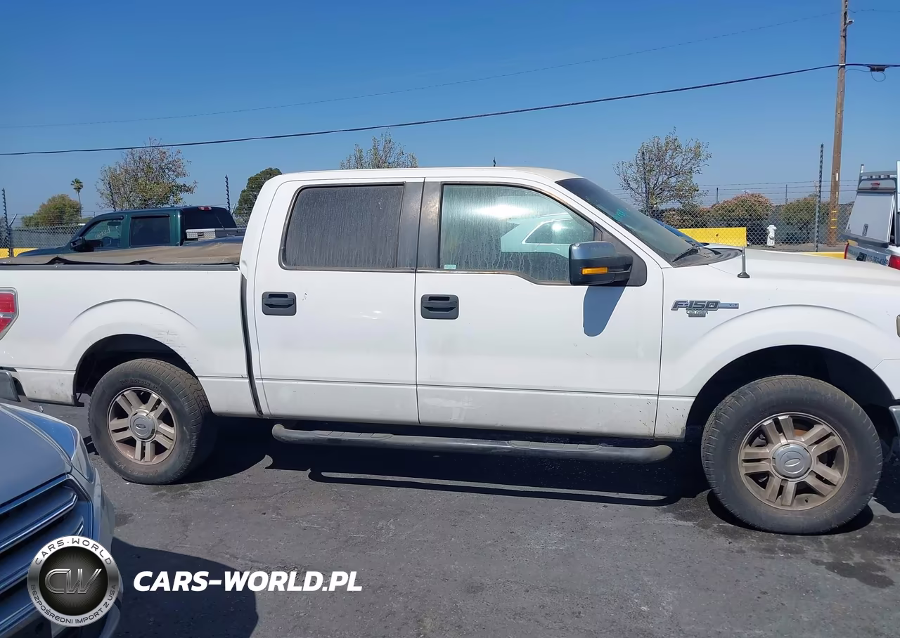 2011 Ford F-150 Xlt VIN:1FTFW1CF0BFB71412 - 13