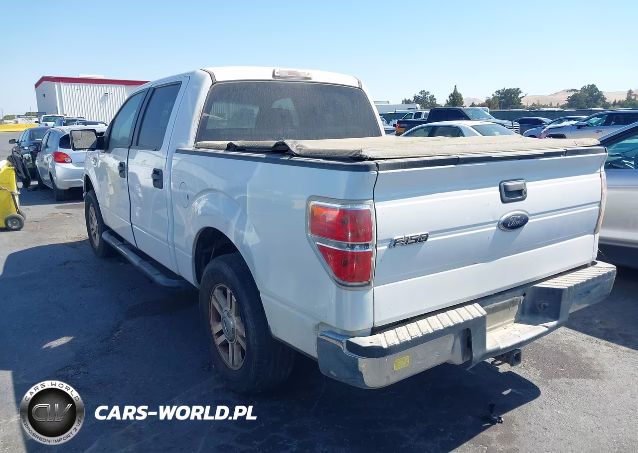 2011 Ford F-150 Xlt VIN:1FTFW1CF0BFB71412 - 3